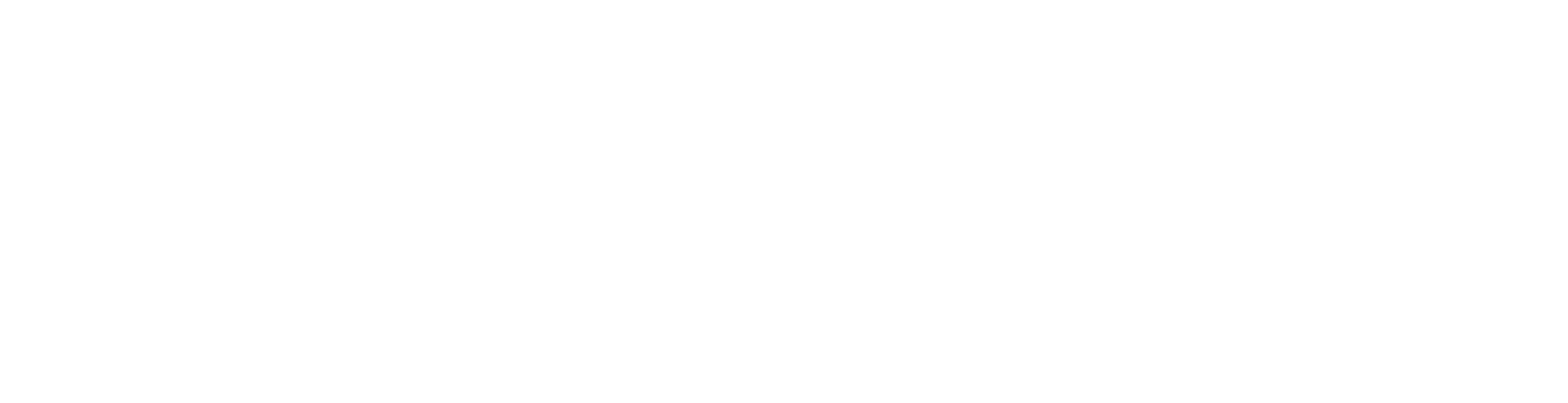 International Education Partners Logo